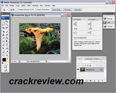 adobe photoshop cs3 extended crack only download